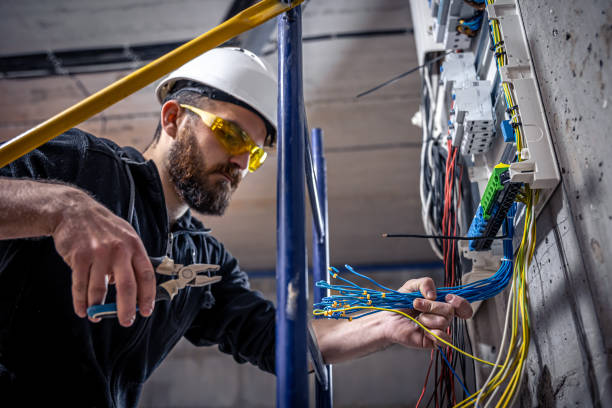 Best Electric Panel Repair  in Chatham, IL